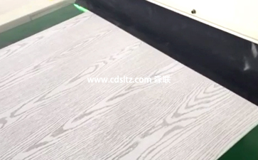 压纹密度板家具UV涂装生产线.jpg